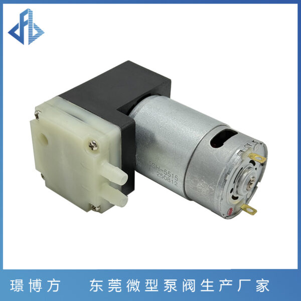 JSB555B洗车泡沫水泵